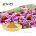 Natural Echinacea Angustifolia Purpurea Root Extract Powder